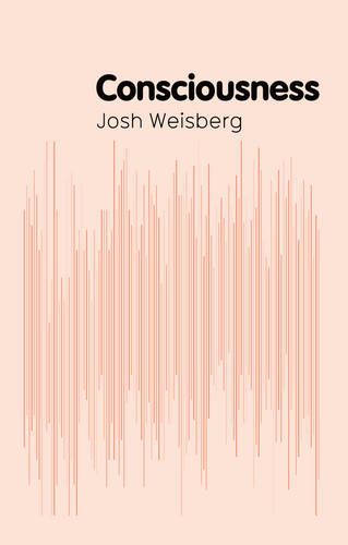 Consciousness Weisberg Hardback Polity Press 9780745653440