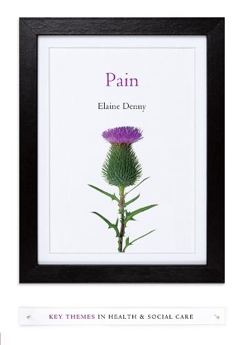 Pain – A Sociological Introduction Denny Paperback Polity Press 9780745655550
