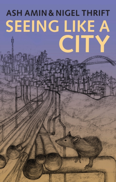 Seeing Like a City Amin Hardback Polity Press 9780745664255