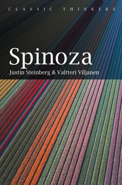 Spinoza Steinberg Hardback Polity Press 9780745664897