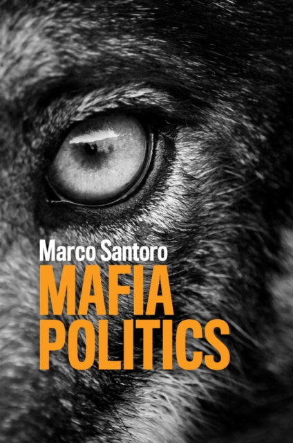 Mafia Politics Santoro Paperback Polity Press 9780745670683