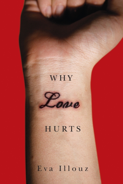 Why Love Hurts – A Sociological Explanation Illouz Paperback Polity Press