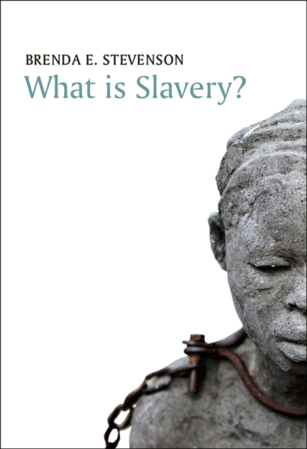 What is Slavery? Stevenson Hardback Polity Press 9780745671505