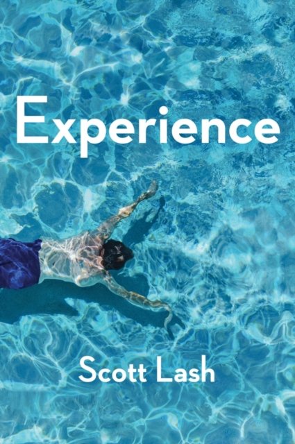 Experience New Foundations for the Human Sciences Lash Paperback Polity Press