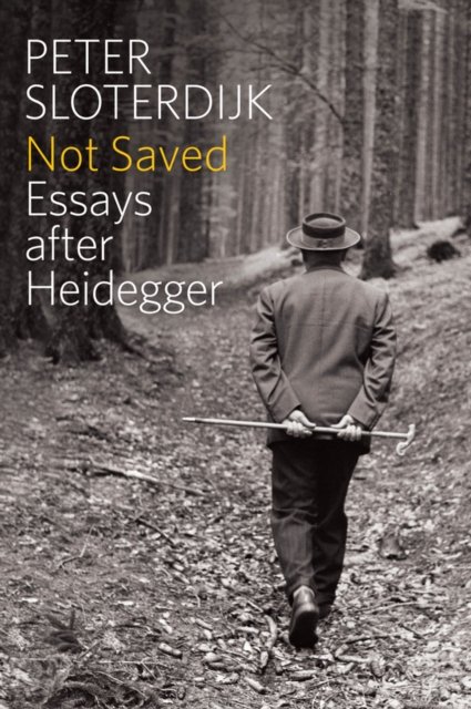 Not Saved – Essays After Heidegger Sloterdijk Paperback Polity Press