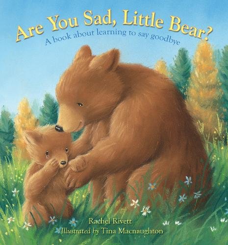 Are You Sad, Little Bear? – A book about learning to say goodbye Rivett Hardback