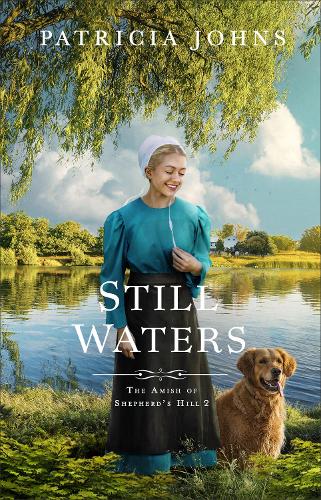 Still Waters Johns Paperback Baker Publishing Group – Baker Books 9780764244186