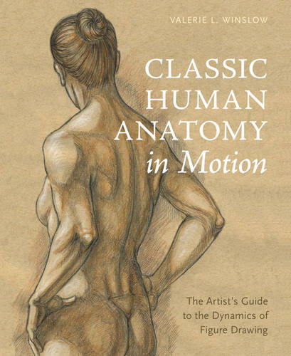 Classic Human Anatomy in Motion Winslow Hardback Watson–Guptill 9780770434144