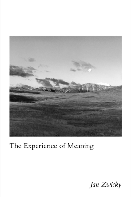 The Experience of Meaning Zwicky Paperback John Wiley & Sons 9780773557437