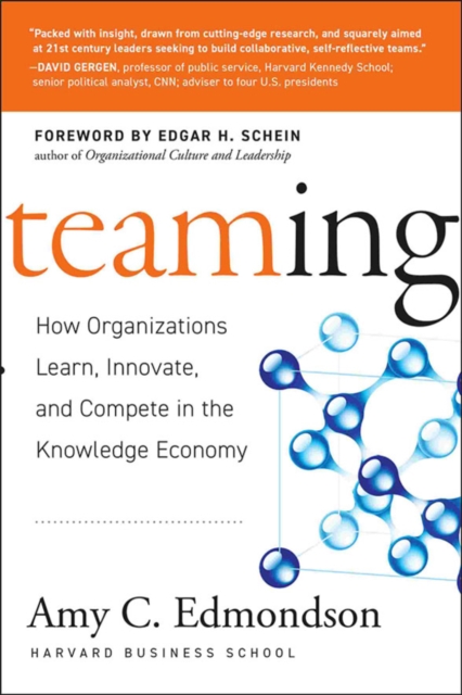 Teaming – How Organizations Learn, Innovate and Compete in the Knowledge Econom…
