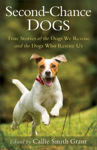 Second–Chance Dogs – True Stories of the Dogs We Rescue and the Dogs Who Rescue…
