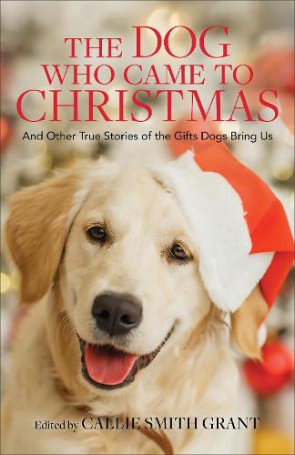The Dog Who Came to Christmas – And Other True Stories of the Gifts Dogs Bring …