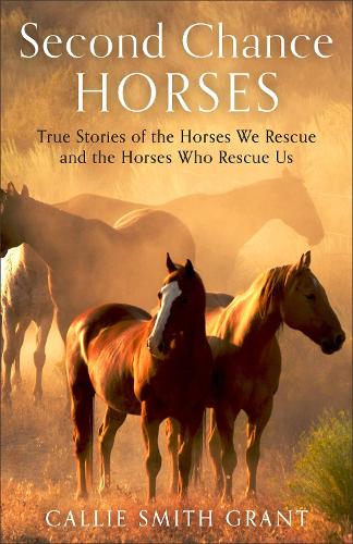 Second–Chance Horses – True Stories of the Horses We Rescue and the Horses Who …
