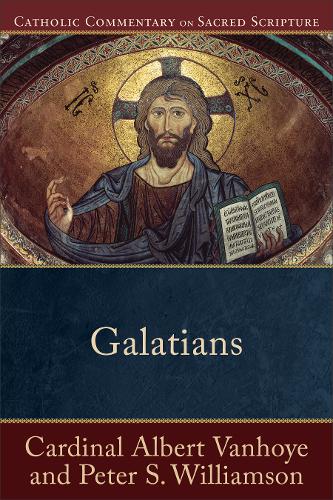 Galatians Vanhoye Williamson Williamson Healy Paperback 9780801049729