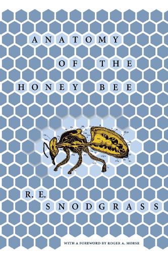 Anatomy of the Honey Bee Snodgrass Morse Hardback MB – Cornell University Press