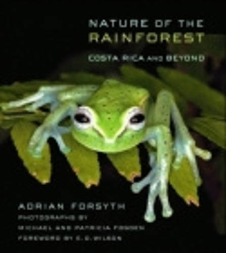 Nature of the Rainforest – Costa Rica and Beyond Forsyth Fogden Fogden Wilson
