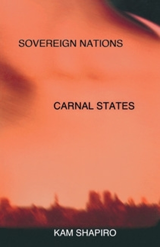 Sovereign Nations, Carnal States Shapiro Paperback John Wiley & Sons