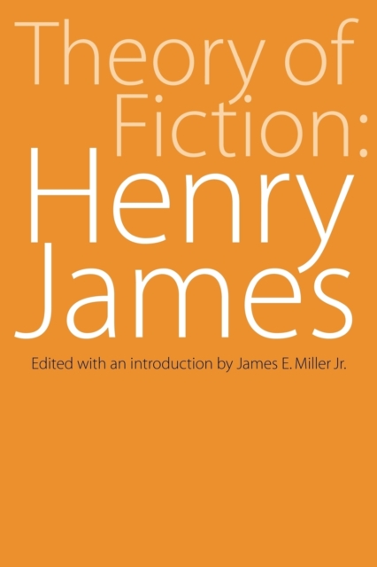 Theory of Fiction – Henry James Miller Paperback 9780803257474