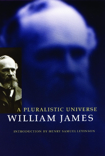 A Pluralistic Universe James Levinson Paperback John Wiley & Sons 9780803275911