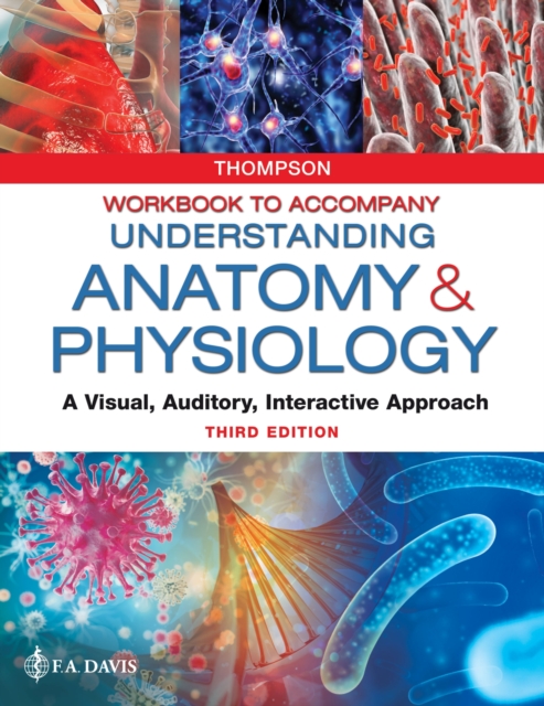 Workbook to Accompany Understanding Anatomy & Ph – A Visual, Auditory, Interact…