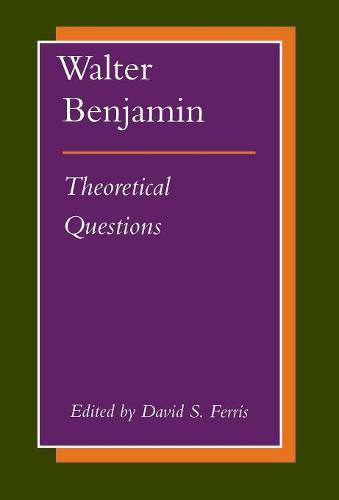 Walter Benjamin – Theoretical Questions Ferris Hardback John Wiley & Sons