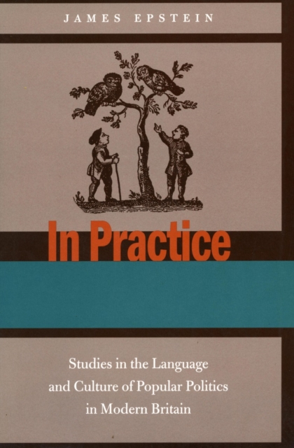 In Practice – Studies in the Language and Culture of Popular Politics in Modern…