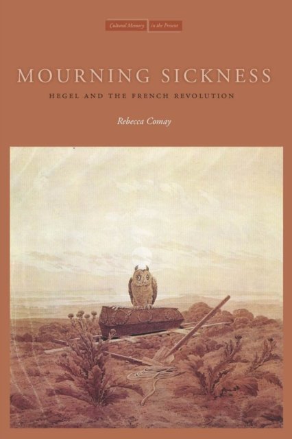 Mourning Sickness – Hegel and the French Revolution Comay Paperback