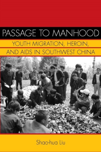 Passage to Manhood Liu Paperback John Wiley & Sons 9780804770255