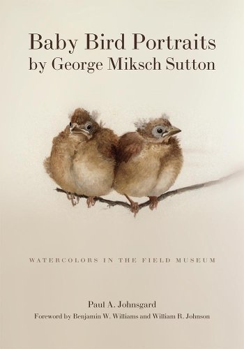 Baby Bird Portraits by George Miksch Sutton – Watercolors in the Field Museum