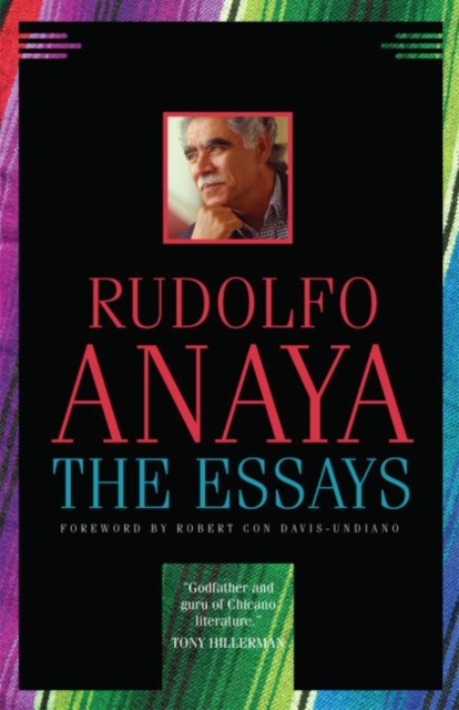 The Essays Anaya Davis–undiano Paperback John Wiley & Sons 9780806180694