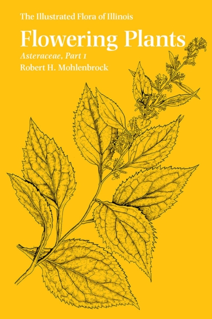 Flowering Plants – Asteraceae Mohlenbrock Paperback MP–SIL Southern Illinois Uni
