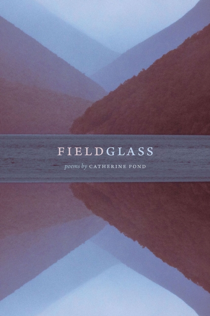 fieldglass Pond Paperback MP–SIL Southern Illinois Uni 9780809338146