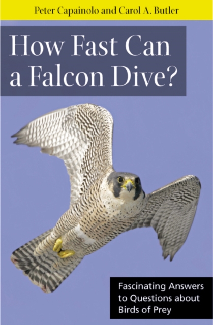 How Fast Can A Falcon Dive? – Fascinating Answers to Questions about Birds of P…