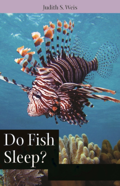 Do Fish Sleep? – Fascinating Answers to Questions about Fishes Weis Paperback