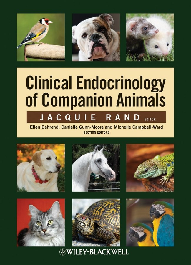 Clinical Endocrinology of Companion Animals Rand Paperback Wiley–Blackwell