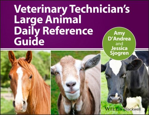 Veterinary Technician′s Large Animal Daily Reference Guide D′Andrea Paperback