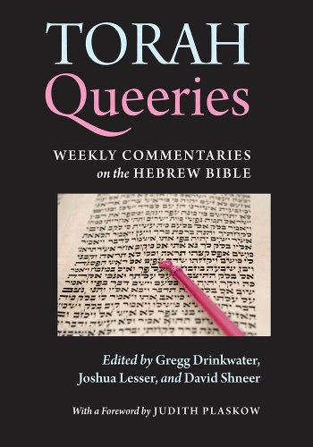 Torah Queeries – Weekly Commentaries on the Hebrew Bible Drinkwater Lesser