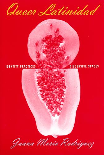 Queer Latinidad – Identity Practices, Discursive Spaces Rodríguez Hardback