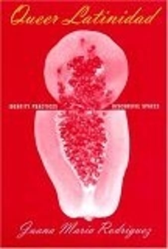 Queer Latinidad – Identity Practices, Discursive Spaces Rodríguez Paperback