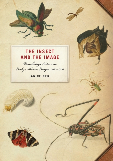 The Insect and the Image – Visualizing Nature in Early Modern Europe, 1500–1700