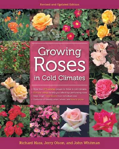Growing Roses in Cold Climates – Revised and Updated Edition Hass Olson Whitman