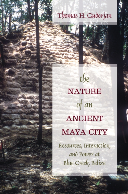 The Nature of an Ancient Maya City – Resources, Interaction, and Power at Blue …