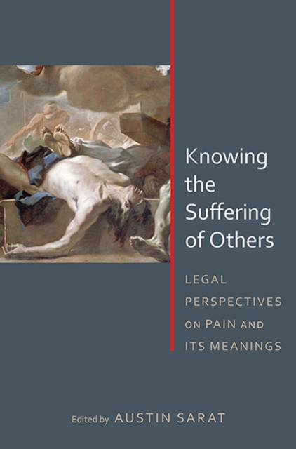 Knowing the Suffering of Others – Legal Perspectives on Pain and Its Meanings