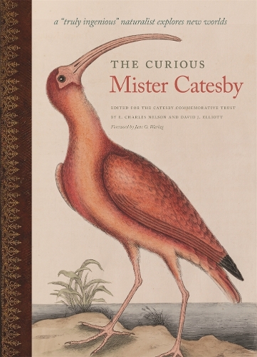 The Curious Mister Catesby – A ""Truly Ingenious"" Naturalist Explores New Worlds