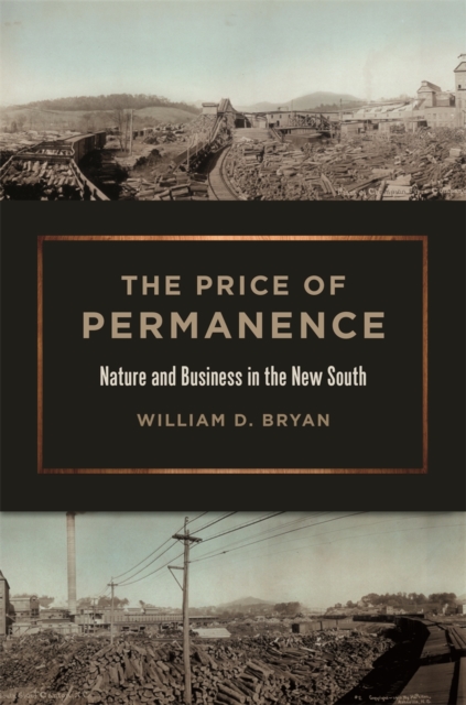 The Price of Permanence – Nature and Business in the New South Bryan Hardback