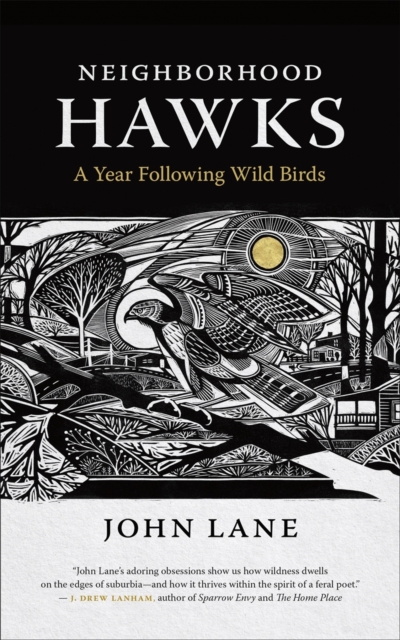 Neighborhood Hawks – A Year Following Wild Birds Lane Correll Paperback