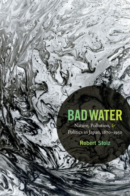 Bad Water – Nature, Pollution, and Politics in Japan, 1870–1950 Stolz Hardback