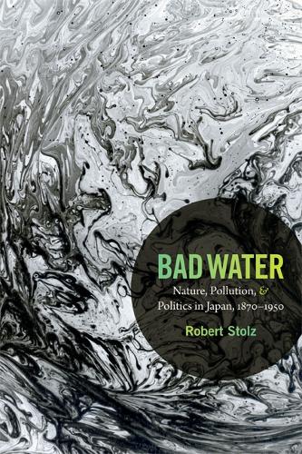 Bad Water – Nature, Pollution, and Politics in Japan, 1870–1950 Stolz Paperback