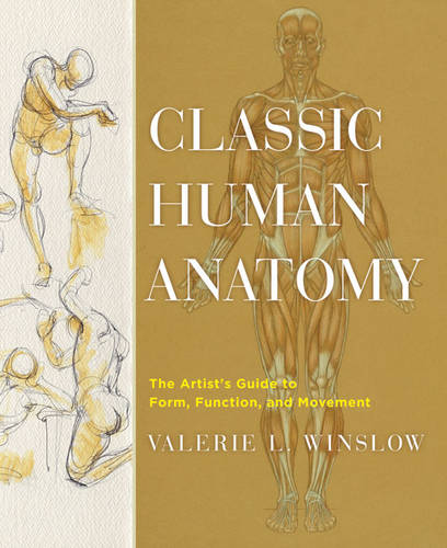 Classic Human Anatomy Winslow Hardback Watson–Guptill 9780823024155