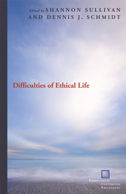 Difficulties of Ethical Life Sullivan Schmidt Paperback John Wiley & Sons